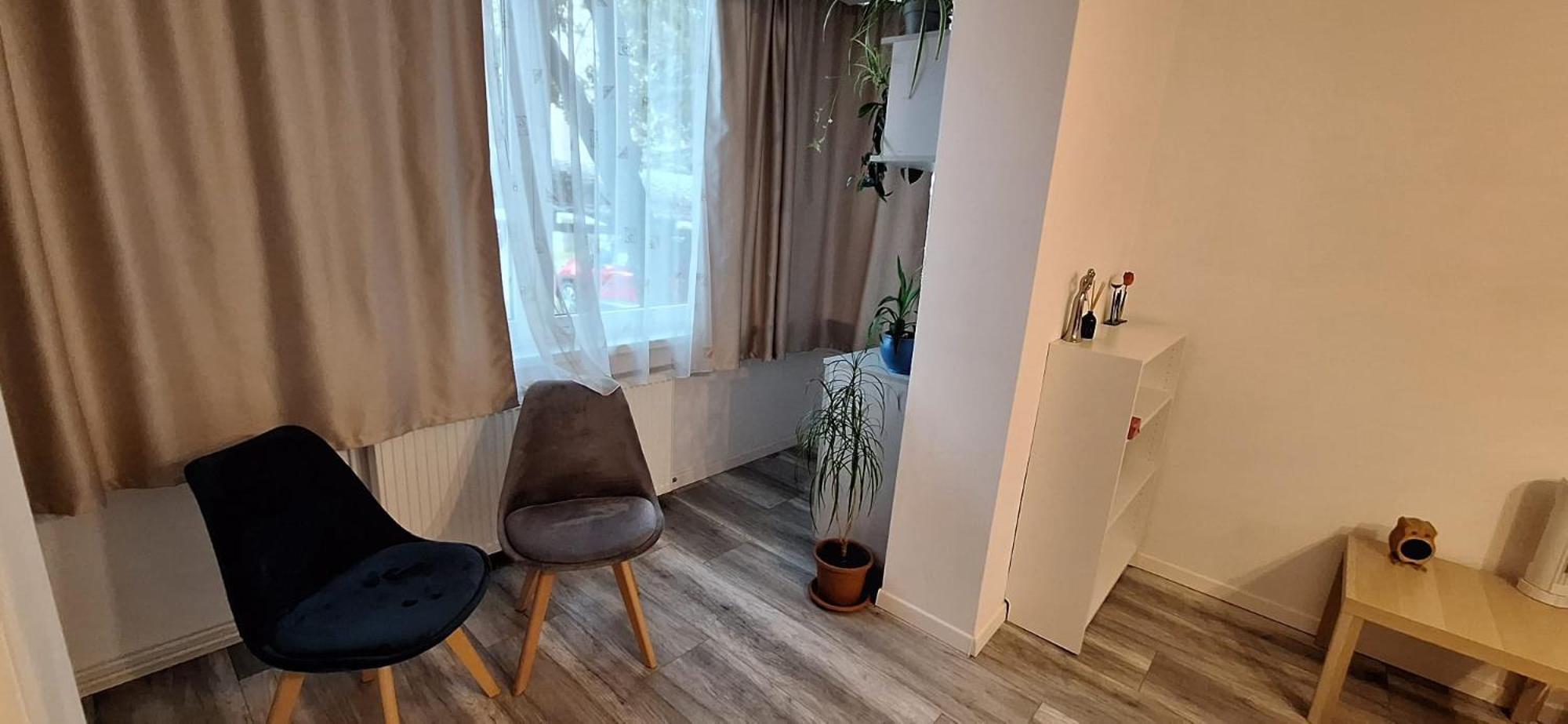 Enci House Apartment Târgu-Mureş Dış mekan fotoğraf